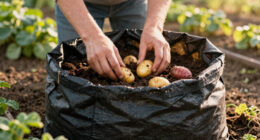 10 Best 20 Gallon Grow Bags for Potatoes and Sweet Potatoes in 2026