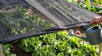 10 Best 40 Percent Shade Cloth for Vegetable Gardens in 2026