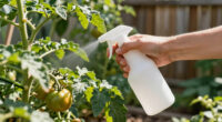 10 Best Garden Pest Control Treatments in 2026