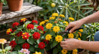10 Best Heat Tolerant Flowering Shrubs in 2026