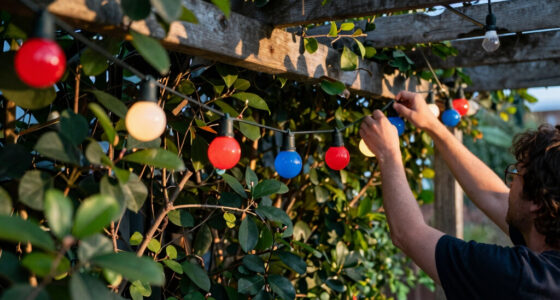 10 Best Patriotic Outdoor String Lights in 2026