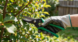 11 Best Ergonomic Garden Pruners in 2026