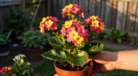 14 Best Low-Maintenance Flowering Plants in 2026