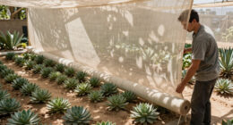30, 50 or 70 Percent Shade Cloth: Matching Density to Desert Crops
