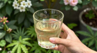 4 Best Viral Glassware in 2026