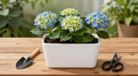 8 Best Groundcover Hydrangeas in 2026