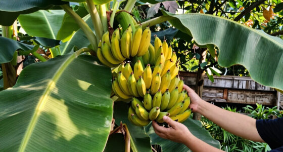 9 Best Banana Plants for Gardens in 2026