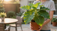 Beat The Heat – These 5 Plants Work Like Natural Air Conditioners To Keep Patios Cooler In Summer