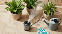 Do Misters Cool Plants at 110 Degrees or Just People