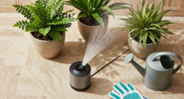 Do Misters Cool Plants at 110 Degrees or Just People