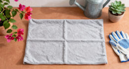 Frost Cloth Weights Explained: What Saves Bougainvillea at 28 Degrees