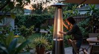 Frost Nights in Phoenix: When They Happen and How to Prepare