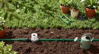 How Long to Run Drip Irrigation in Zone 9b, Season by Season