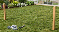 How to Keep Javelina Out of Your Garden: Fencing That Works