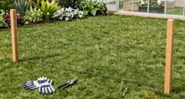 How to Keep Javelina Out of Your Garden: Fencing That Works