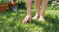 Introducing How To Touch Grass