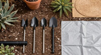 Monsoon Prep for Desert Gardens: Staking, Drainage, and Wind