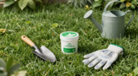Most Gardeners Have Never Heard Of This Lawn Product That Helps Grass Survive Extreme Heat