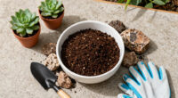 Raised Bed Soil Mix for Arizona: Why Native Caliche Stays Out