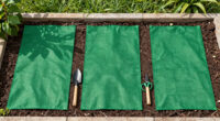 Row Cover vs Shade Cloth for September Seedlings
