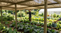 Shade Structure or Tree Canopy: Planning Permanent Relief for a Vegetable Plot