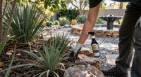 Snakes in the Garden: Making a Desert Yard Less Inviting, Safely