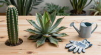 Sunburned Agave and Prickly Pear: Diagnosis and Recovery