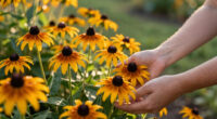 These 8 Flowers Stay Covered In Blooms Through July And August – Without Deadheading
