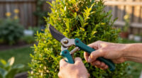 Why You Should Never Plant These 5 Shrubs In July – And The Gorgeous Alternatives You Need To Try Instead