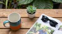 Your Vivid, Vibrant Everyday Life