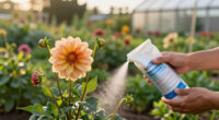 10 Best Dahlia Fertilizers in 2026