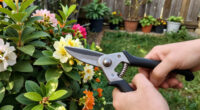 11 Best Pruning Shears in 2026