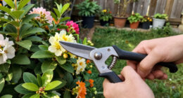 11 Best Pruning Shears in 2026
