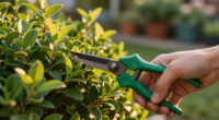 12 Best Garden Shrubs in 2026