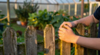 14 Best Garden Fences in 2026