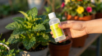 15 Best Plant Fertilizers For Potted Plants In 2026