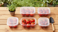 3 Best Cherry Tomato Storage Containers in 2026
