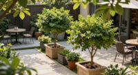 4 Small Trees That Make Even Modest Yards Look Expensive – Try These Varieties For A Big Curb Appeal Boost On A Tiny Budget