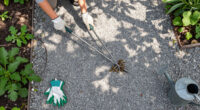 8 Best Weed Pullers for Gravel Landscapes in 2026