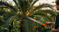 9 Best Pole Saws for Palm Frond Removal Before Monsoon in 2026