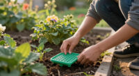 9 Best Slug Traps in 2026