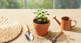 Growing Tepary Beans: The Desert-Adapted Legume Built for Drought