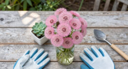 I Used To Hate Dandelions – Until I Discovered The Pretty Pink Version Designers Love