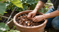 Mulching Containers: Top Dressings That Slow Evaporation
