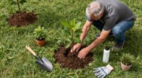 Retired Man Plants Trees On Forgotten Land, Now It's Sao Paulo's Largest Park