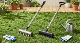 Scarifier Vs Dethatcher: Experts Explain The Difference And Which One You Should Use On Your Lawn