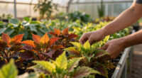 These 8 Gorgeous Fast-Growing Privacy Plants Create A Sanctuary Of Color, Texture And Fragrance Before Fall