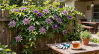 Why I Let My Passionflower Take Over My Fence (And It's Not Just Because It Looks So Good)