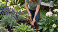 10 Best Perennial Garden Plants in 2026
