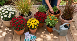 10 Foolproof Plants That Are Far Cheaper In Fall – Fill Up Your Yard For Years Of Beautiful Blooms